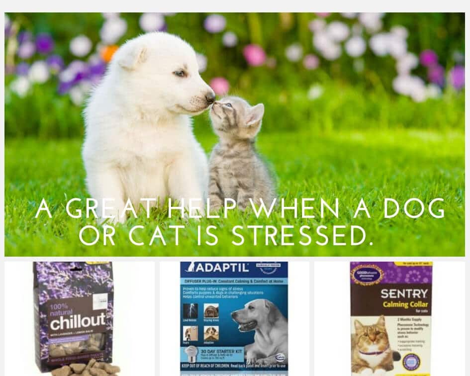 Moving with your pet calming products 