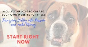 Create website for free