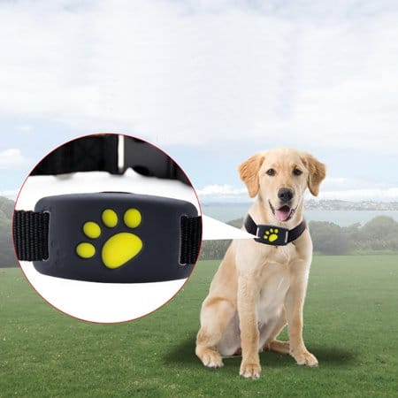 GPS Tracking Collar for dogs 