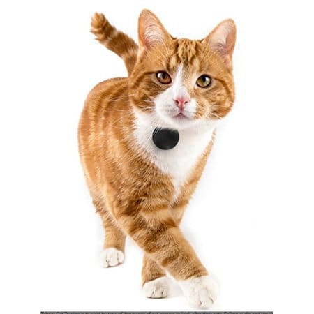 TabCat Tracking Collar and Cat Locator