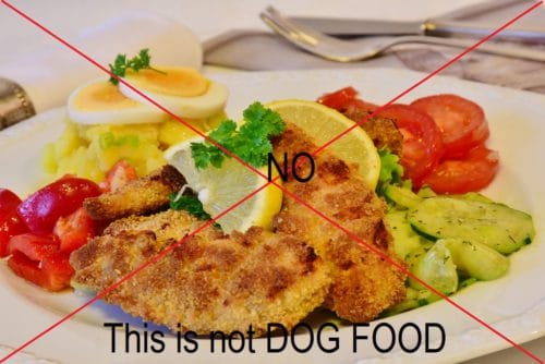 Food scrapes from the table are not dog food 