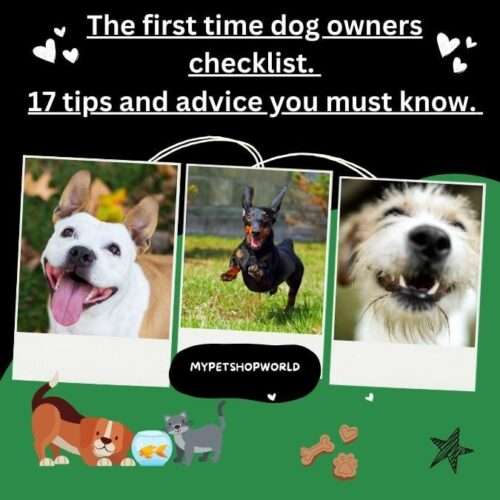 The first time dog owners checklist. 12 tips and advice you must know.