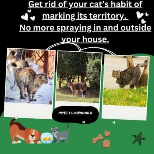 Get rid of your cat's habit of marking its territory. No more spraying in and outside your house.