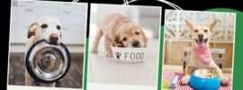 Dog Food Review. What every dog owner should know about retail dog food.