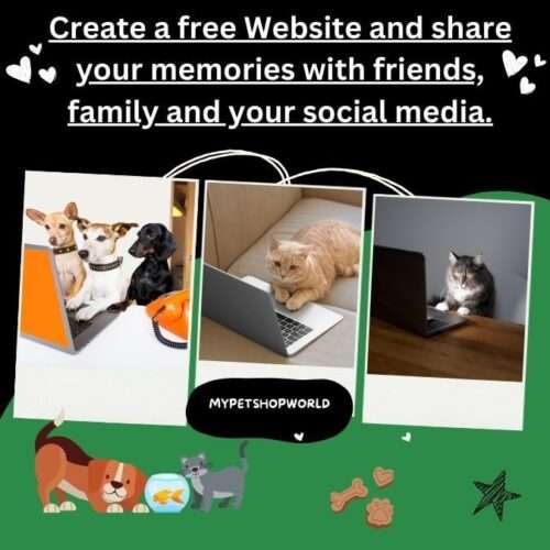 Create a free Website and sshare your memories with friends, family and your social media.