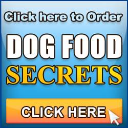 Home made dog food recipes 