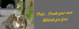 Psst... Create your own Website for free