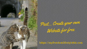 Psst... Create your own Website for free