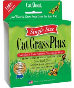 Cat Grass for your cat 