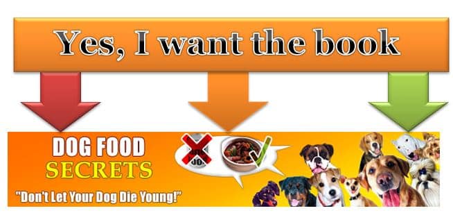 The dog food secret a guide to healthy food 