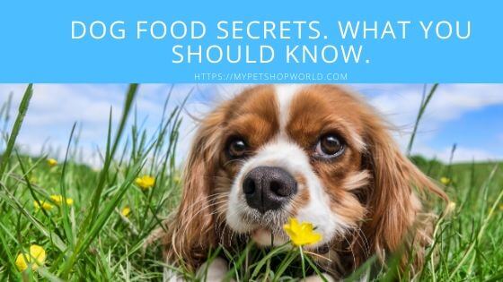 dog food Secrets 