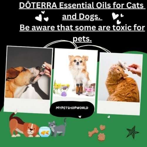 DOTERRA Essential Oils for Cats and Dogs. Be aware that some are toxic for pets.