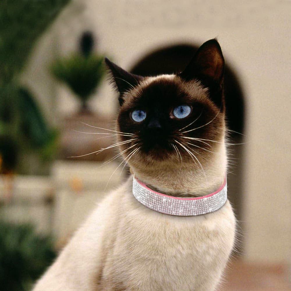 Rhinestone collar for cats