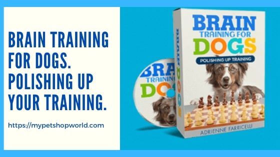 Braintraining for dogs by adrienne faricelli