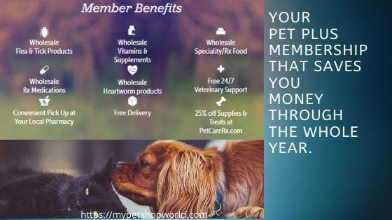 Pet med the best choice for saving on vet bills 