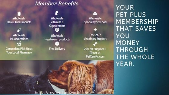 Pet med the best choice for saving on vet bills