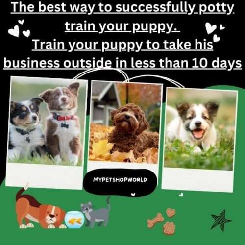 The best way to successfully potty train your puppy. Train your puppy to take his business outside in less than 10 days.