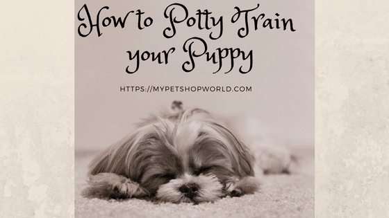 Potty train your pup