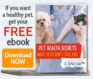 Truth about cancer in pets 