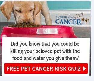 Truth about cancer in pets 