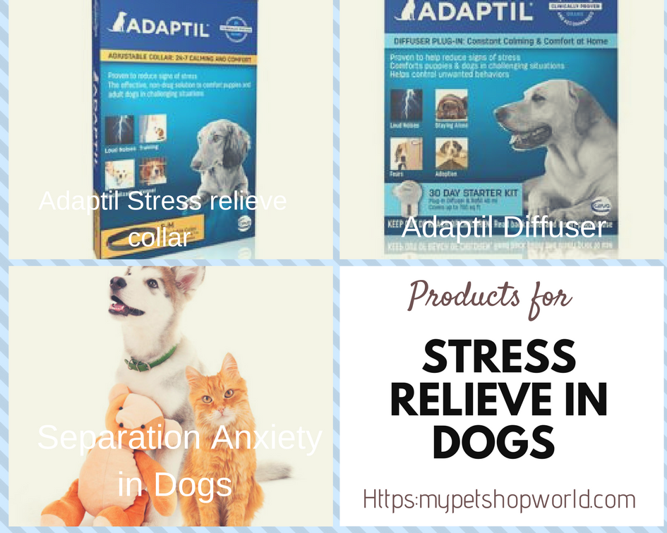 Adaptil Stress relieve collar and diffuser for dog separation anxiety