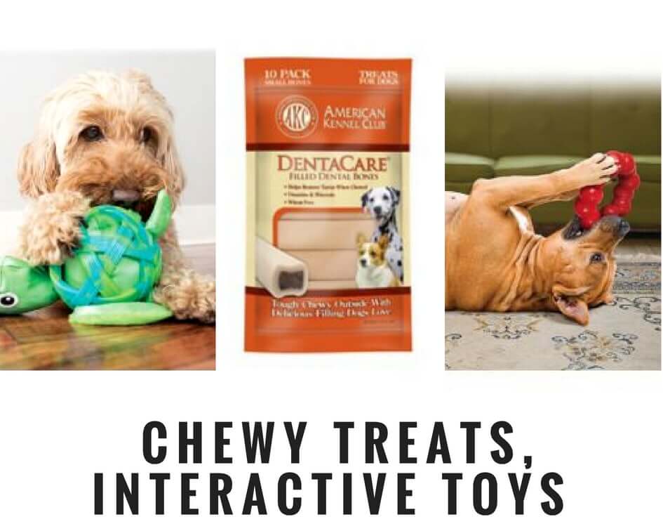 crate training your dog reward him with treats 