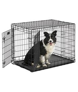 wire crates for puppies