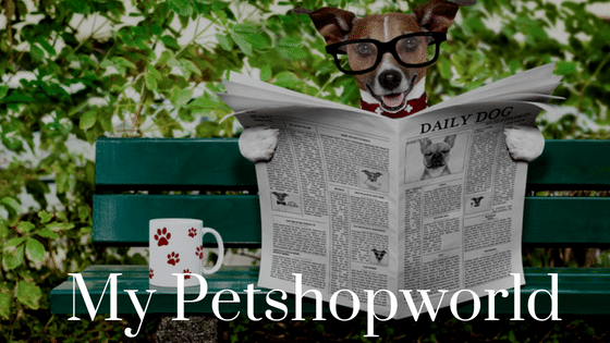 best pet shop in the world