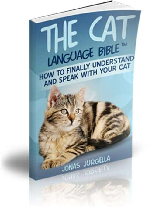 the cat language bible