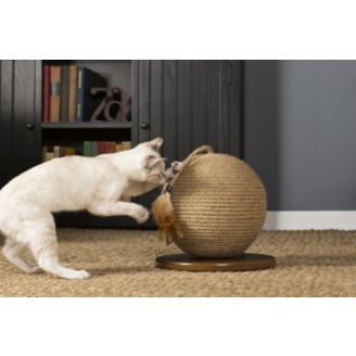 cat scratch sphere with toy