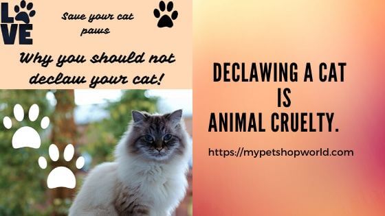 declawing your cat is animal cruelty. 