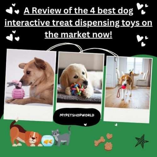 A Review of the 4 best dog interactive treat dispensing toys on the market now!