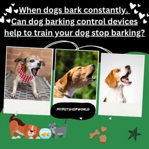 When dogs bark constantly. Can dog barking control devices help to train your dog stop barking?