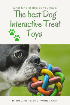 The best Dog Interactive Treat Toys 1