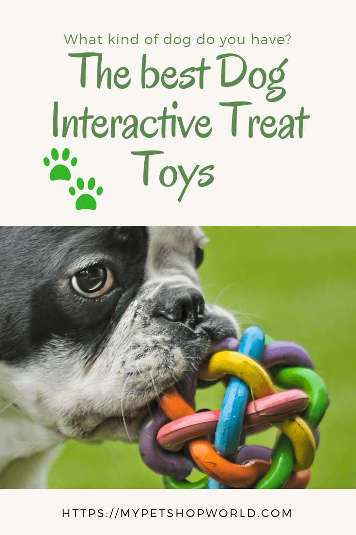 The 4 best dog interactive treat toys.  Best Pet Supplies