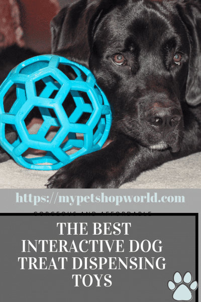 The 4 best dog interactive treat toys.  Best Pet Supplies