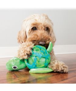 best chewy dog toys