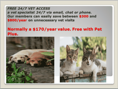 Protect your pet and you from high expensive vet bills