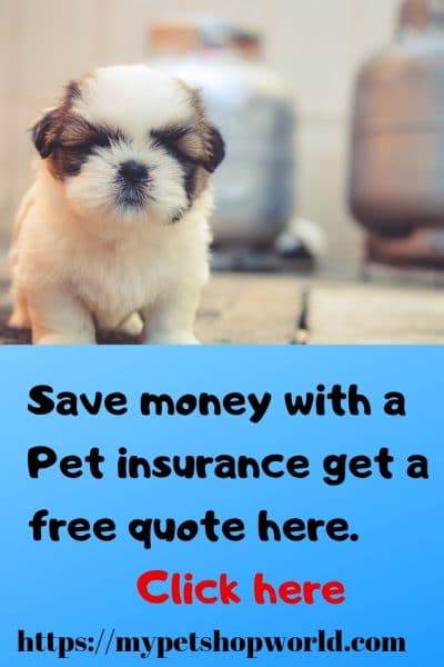 free quote pet insurance a great deal