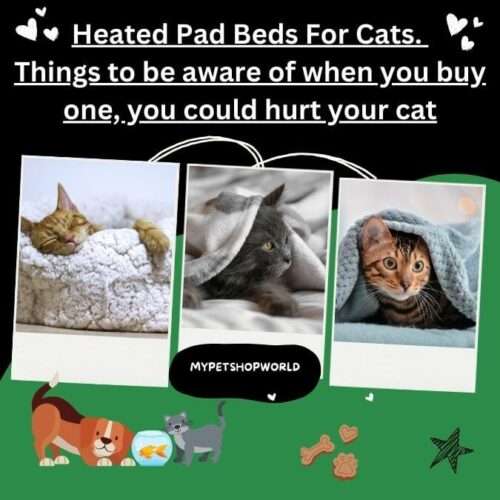 Heated Pad Beds for your Cats. Things to be aware of when you buy one, you could hurt your cat.