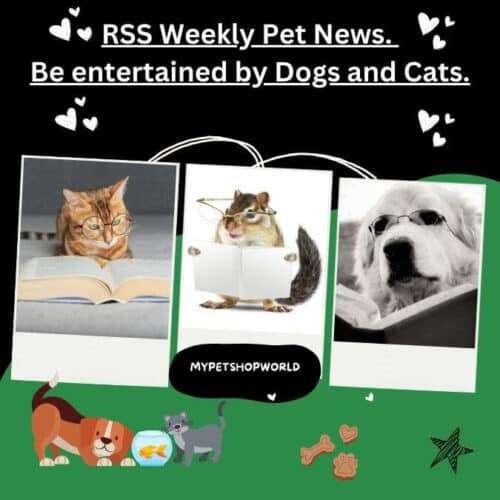 RSS Weekly Pet News. be entertained by Dogs and Cats.