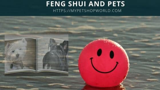 Feng Shui and Pets promote wealth 