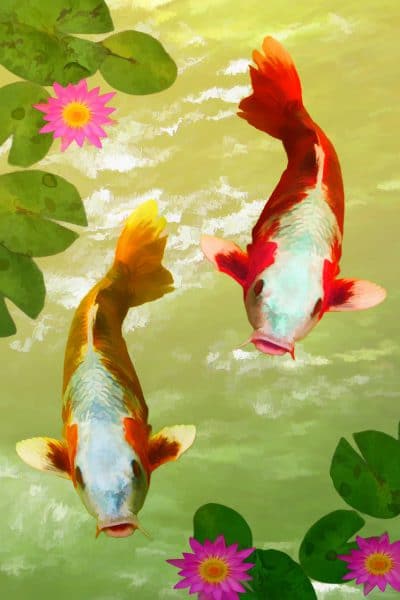 Fish are a symbol of abundance in Feng Shui 