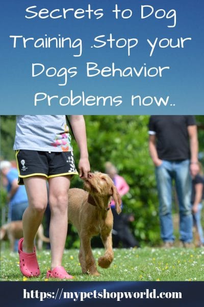 stop your dogs behavior problems now