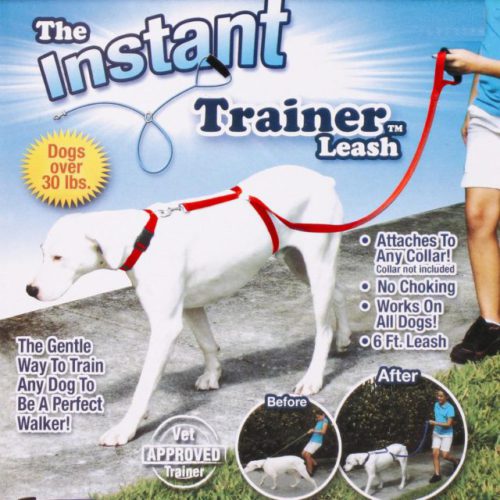 dog trainer leash for puppies