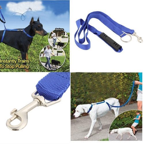 Instant dog training leash no more pulling