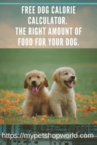 Free Dog Calorie Calculator