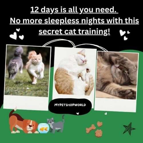 12 days is all you need. No more sleepless nights with this secret cat training!