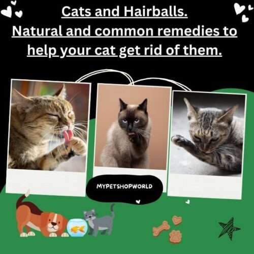 Cats and Hairballs. Natural and common remedies to help your cat get rid of them.