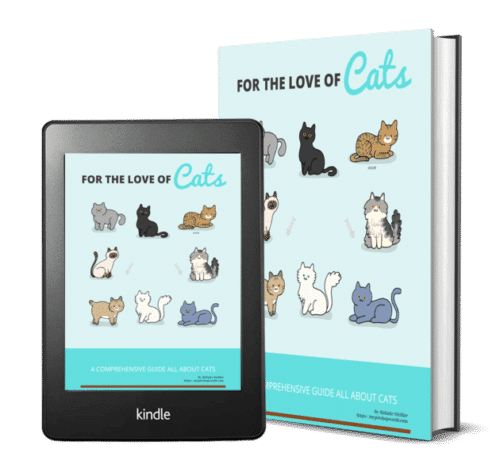 For the love of your cat